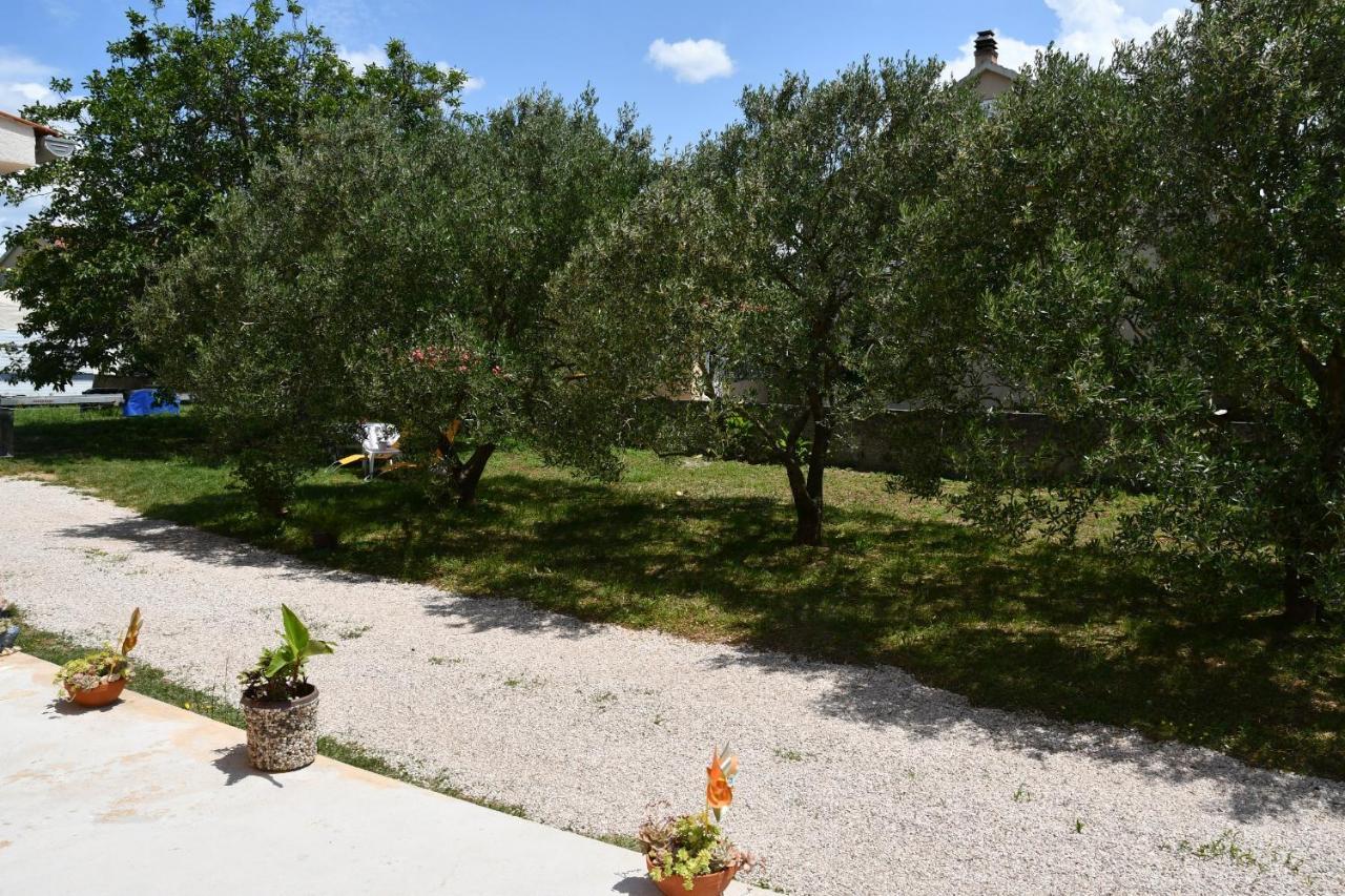 Apartmani Joja Biograd na Moru Kültér fotó