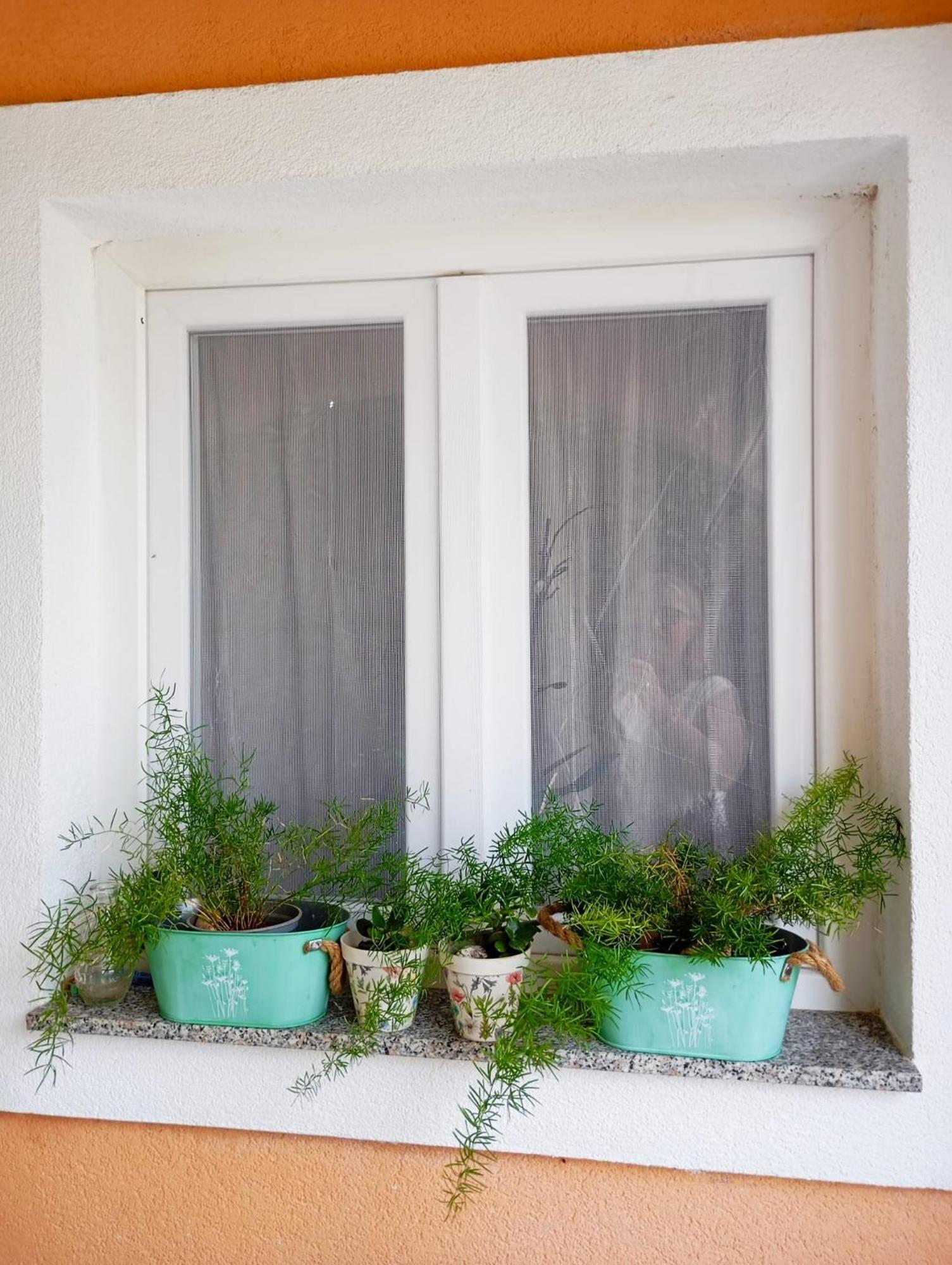Apartmani Joja Biograd na Moru Kültér fotó