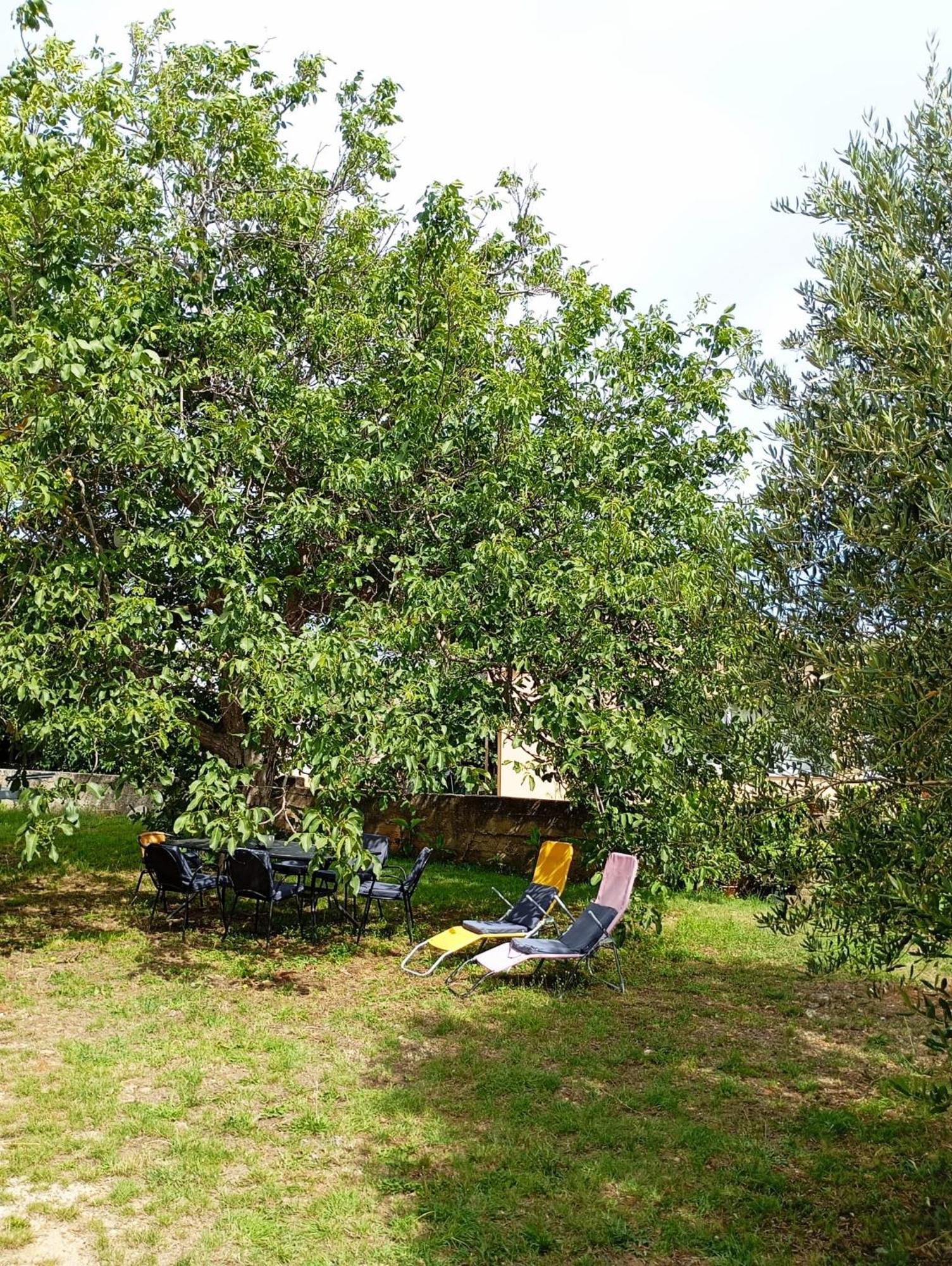 Apartmani Joja Biograd na Moru Kültér fotó